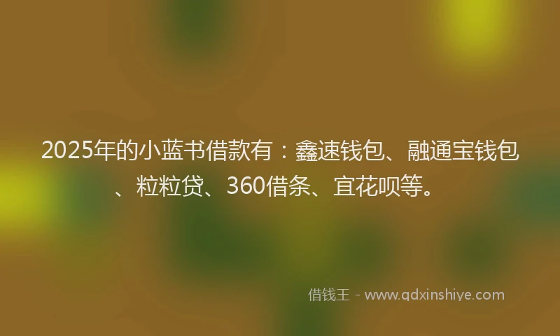 2025年的小蓝书借款有：鑫速钱包、融通宝钱包、粒粒贷、360借条、宜花呗等。