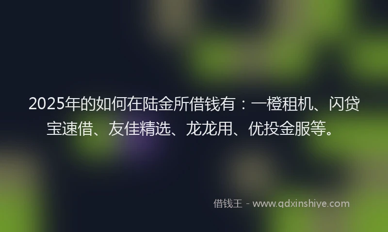 2025年的如何在陆金所借钱有：一橙租机、闪贷宝速借、友佳精选、龙龙用、优投金服等。