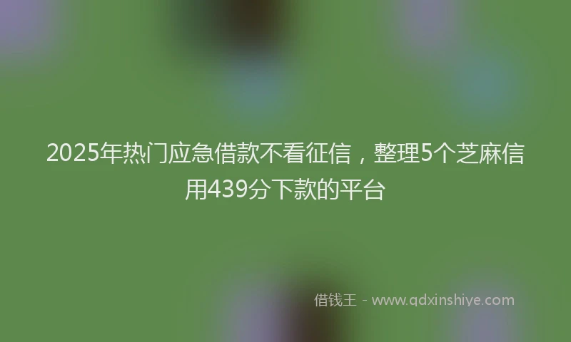 2025年热门应急借款不看征信，整理5个芝麻信用439分下款的平台