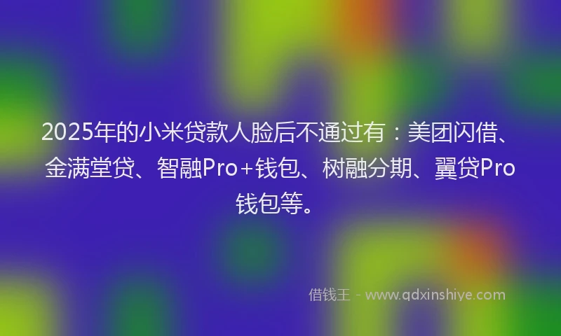 2025年的小米贷款人脸后不通过有：美团闪借、金满堂贷、智融Pro+钱包、树融分期、翼贷Pro钱包等。
