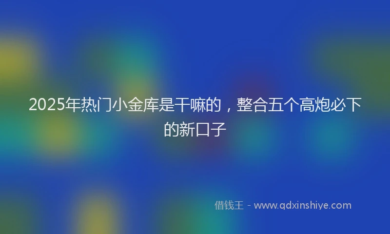 2025年热门小金库是干嘛的，整合五个高炮必下的新口子