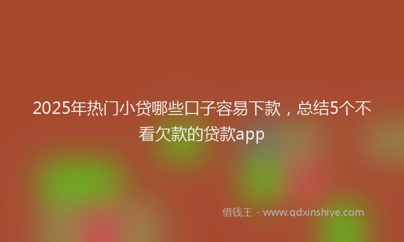 2025年热门小贷哪些口子容易下款，总结5个不看欠款的贷款app