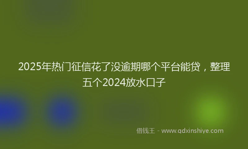 2025年热门征信花了没逾期哪个平台能贷，整理五个2024放水口子