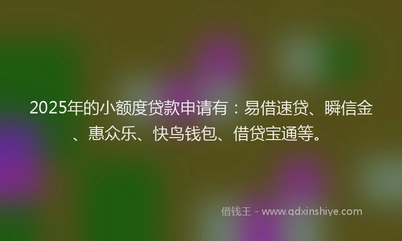 2025年的小额度贷款申请有：易借速贷、瞬信金、惠众乐、快鸟钱包、借贷宝通等。
