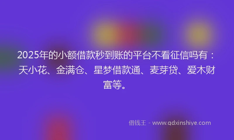 2025年的小额借款秒到账的平台不看征信吗有：天小花、金满仓、星梦借款通、麦芽贷、爱木财富等。
