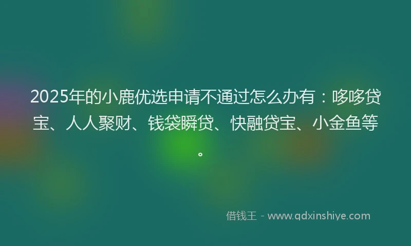 2025年的小鹿优选申请不通过怎么办有：哆哆贷宝、人人聚财、钱袋瞬贷、快融贷宝、小金鱼等。