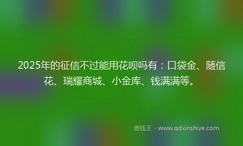 2025年的征信不过能用花呗吗有：口袋金、随信花、瑞耀商城、小金库、钱满满等。
