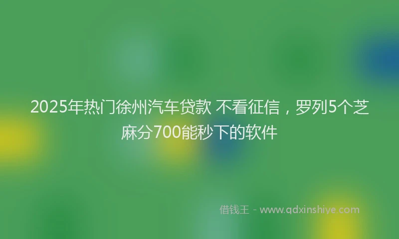 2025年热门徐州汽车贷款 不看征信，罗列5个芝麻分700能秒下的软件