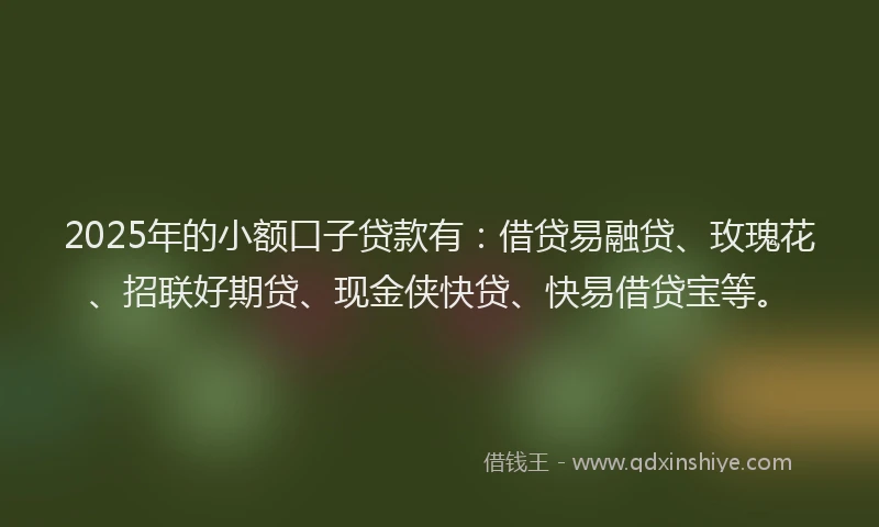 2025年的小额口子贷款有：借贷易融贷、玫瑰花、招联好期贷、现金侠快贷、快易借贷宝等。