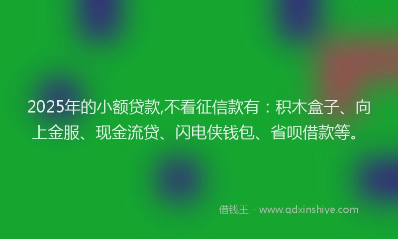 2025年的小额贷款,不看征信款有：积木盒子、向上金服、现金流贷、闪电侠钱包、省呗借款等。