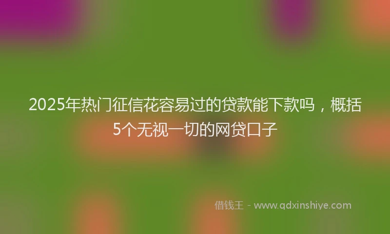 2025年热门征信花容易过的贷款能下款吗，概括5个无视一切的网贷口子