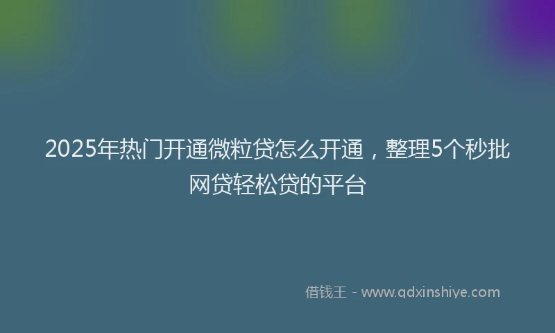 2025年热门开通微粒贷怎么开通，整理5个秒批网贷轻松贷的平台