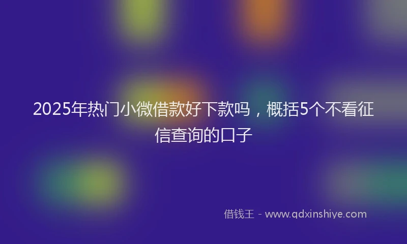 2025年热门小微借款好下款吗，概括5个不看征信查询的口子