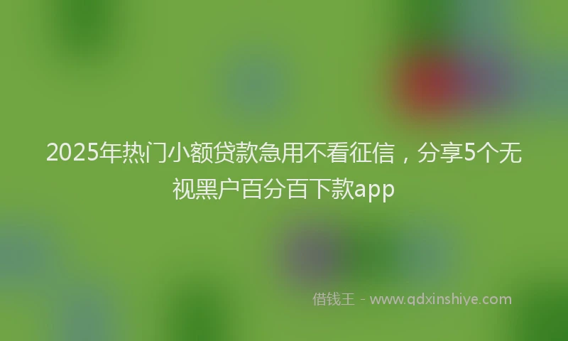 2025年热门小额贷款急用不看征信，分享5个无视黑户百分百下款app