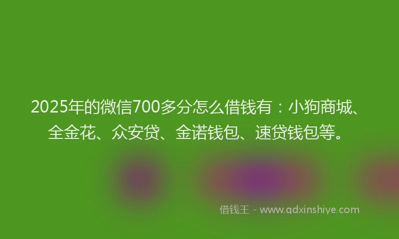 2025年的微信700多分怎么借钱有：小狗商城、全金花、众安贷、金诺钱包、速贷钱包等。
