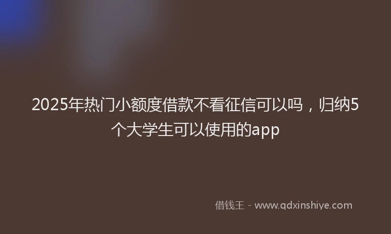 2025年热门小额度借款不看征信可以吗，归纳5个大学生可以使用的app