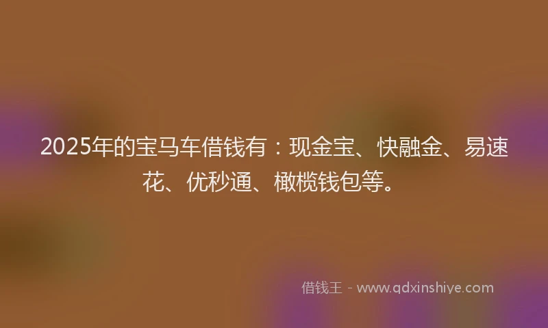 2025年的宝马车借钱有：现金宝、快融金、易速花、优秒通、橄榄钱包等。