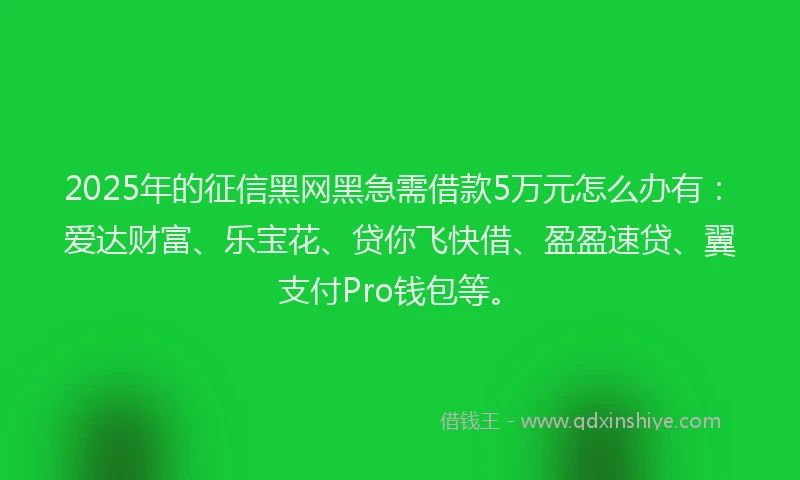 2025年的征信黑网黑急需借款5万元怎么办有：爱达财富、乐宝花、贷你飞快借、盈盈速贷、翼支付Pro钱包等。