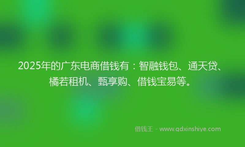 2025年的广东电商借钱有：智融钱包、通天贷、橘若租机、甄享购、借钱宝易等。