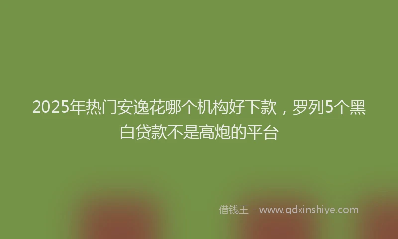 2025年热门安逸花哪个机构好下款，罗列5个黑白贷款不是高炮的平台