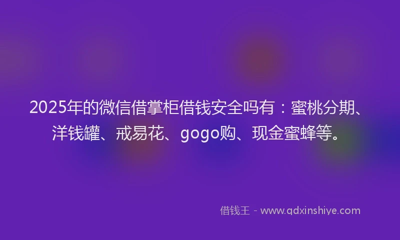 2025年的微信借掌柜借钱安全吗有：蜜桃分期、洋钱罐、戒易花、gogo购、现金蜜蜂等。