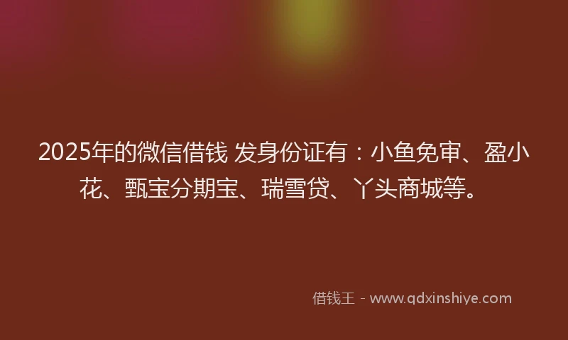 2025年的微信借钱 发身份证有：小鱼免审、盈小花、甄宝分期宝、瑞雪贷、丫头商城等。