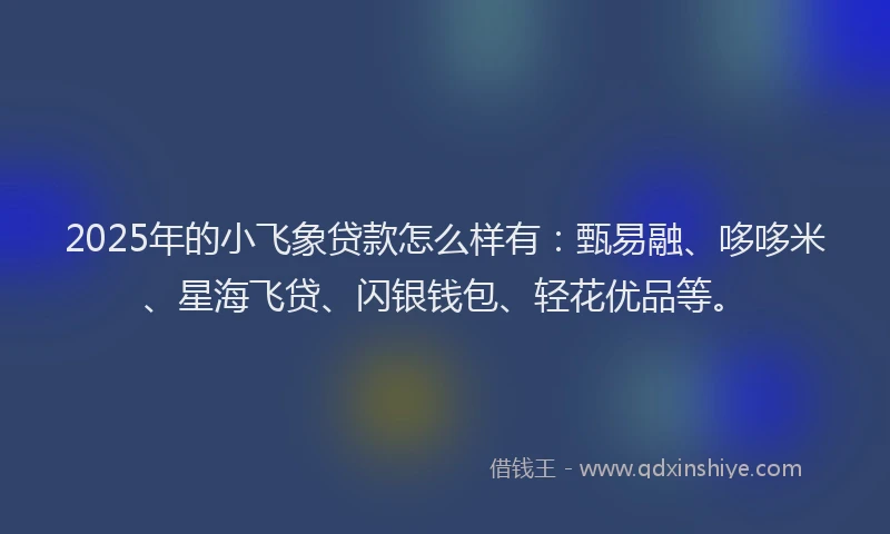 2025年的小飞象贷款怎么样有：甄易融、哆哆米、星海飞贷、闪银钱包、轻花优品等。