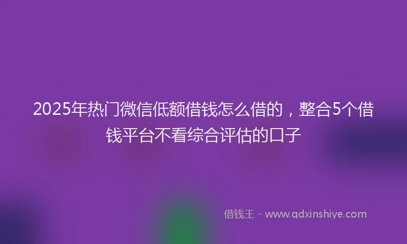 2025年热门微信低额借钱怎么借的，整合5个借钱平台不看综合评估的口子