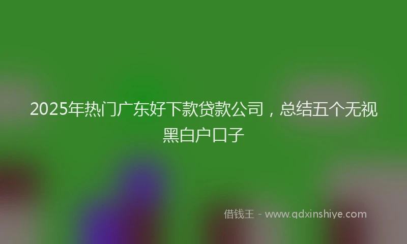 2025年热门广东好下款贷款公司，总结五个无视黑白户口子
