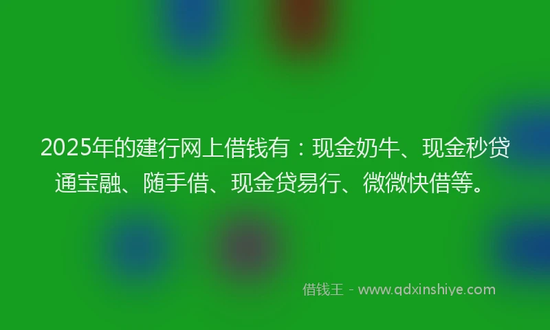 2025年的建行网上借钱有：现金奶牛、现金秒贷通宝融、随手借、现金贷易行、微微快借等。