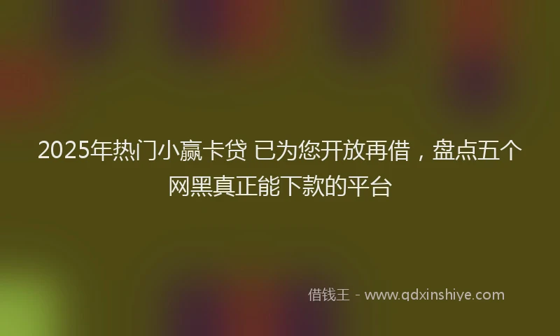 2025年热门小赢卡贷 已为您开放再借，盘点五个网黑真正能下款的平台