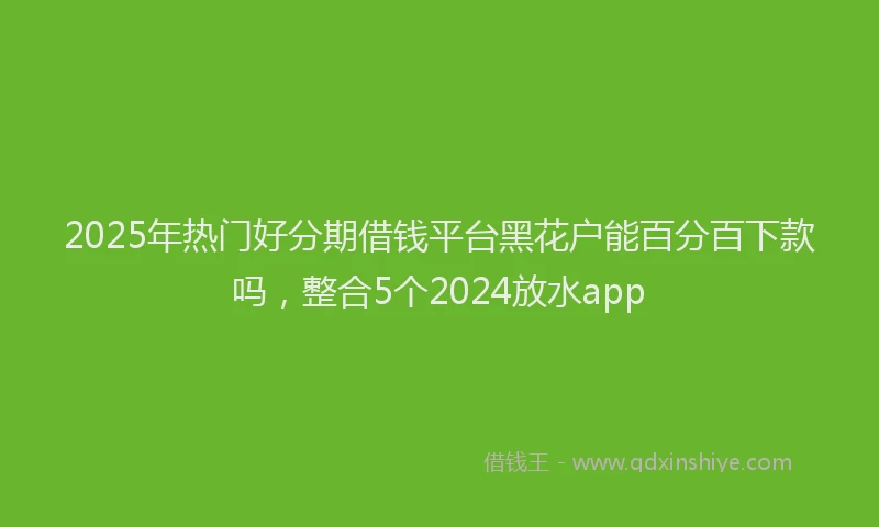 2025年热门好分期借钱平台黑花户能百分百下款吗，整合5个2024放水app