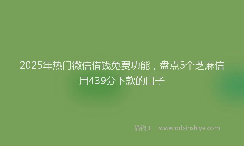 2025年热门微信借钱免费功能，盘点5个芝麻信用439分下款的口子