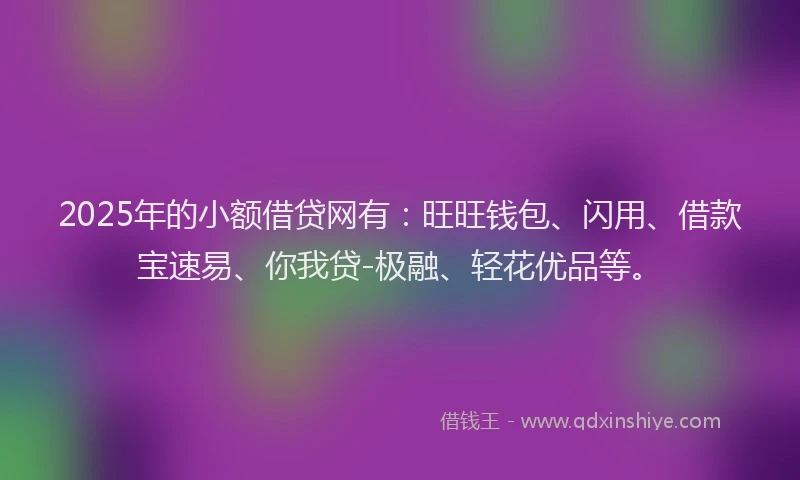2025年的小额借贷网有：旺旺钱包、闪用、借款宝速易、你我贷-极融、轻花优品等。