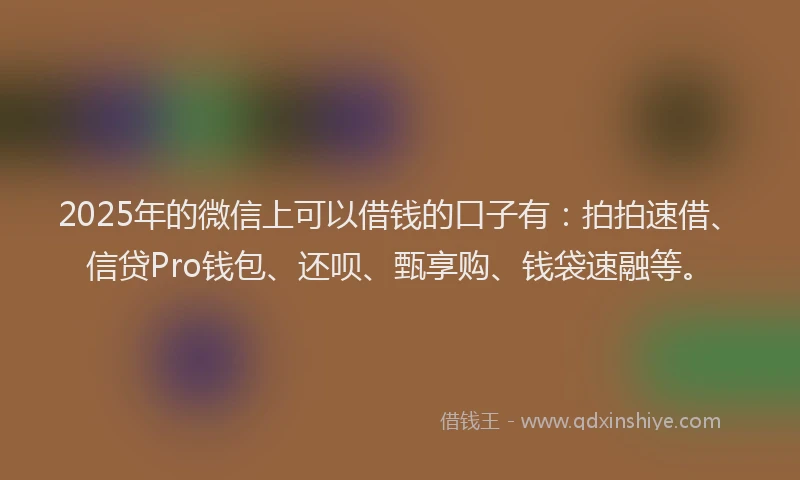 2025年的微信上可以借钱的口子有：拍拍速借、信贷Pro钱包、还呗、甄享购、钱袋速融等。
