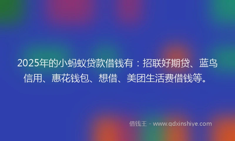 2025年的小蚂蚁贷款借钱有：招联好期贷、蓝鸟信用、惠花钱包、想借、美团生活费借钱等。