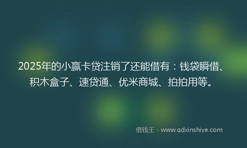 2025年的小赢卡贷注销了还能借有：钱袋瞬借、积木盒子、速贷通、优米商城、拍拍用等。