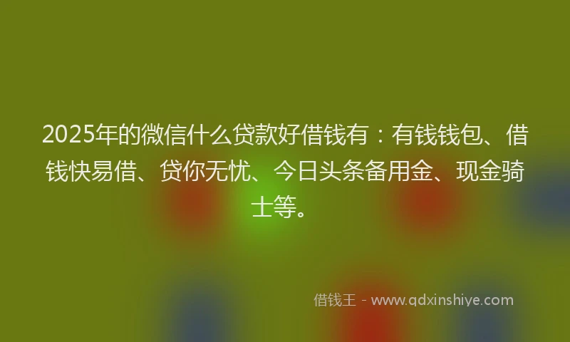 2025年的微信什么贷款好借钱有：有钱钱包、借钱快易借、贷你无忧、今日头条备用金、现金骑士等。