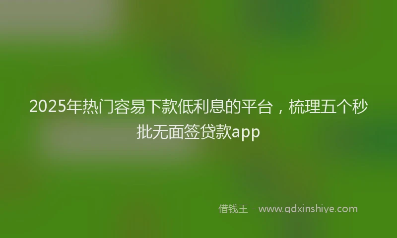 2025年热门容易下款低利息的平台，梳理五个秒批无面签贷款app