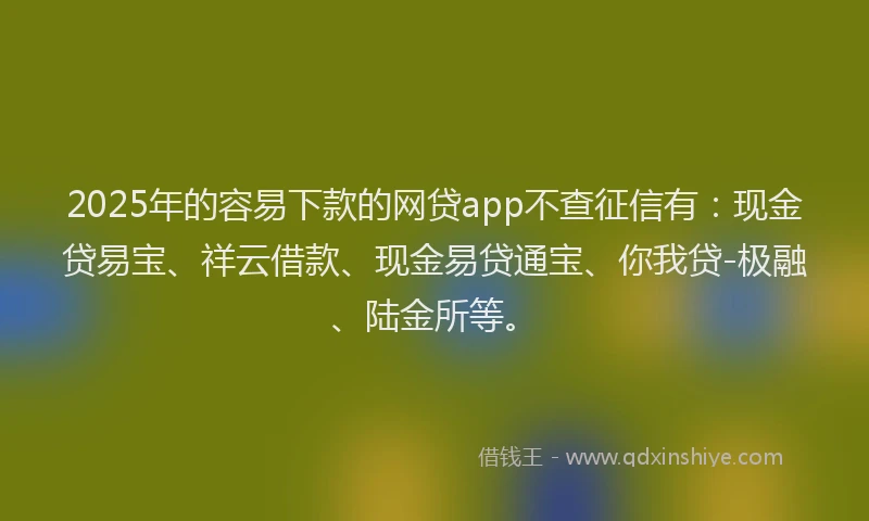 2025年的容易下款的网贷app不查征信有：现金贷易宝、祥云借款、现金易贷通宝、你我贷-极融、陆金所等。