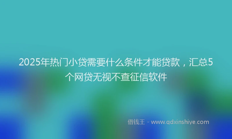 2025年热门小贷需要什么条件才能贷款，汇总5个网贷无视不查征信软件