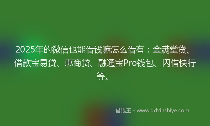 2025年的微信也能借钱嘛怎么借有：金满堂贷、借款宝易贷、惠商贷、融通宝Pro钱包、闪借快行等。