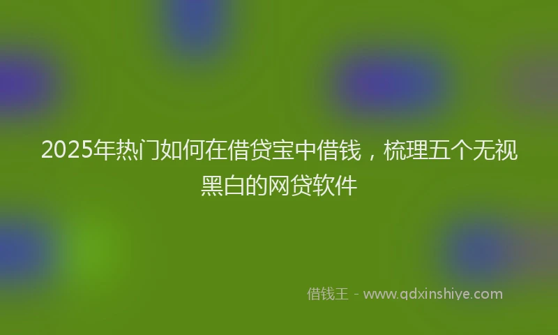2025年热门如何在借贷宝中借钱，梳理五个无视黑白的网贷软件