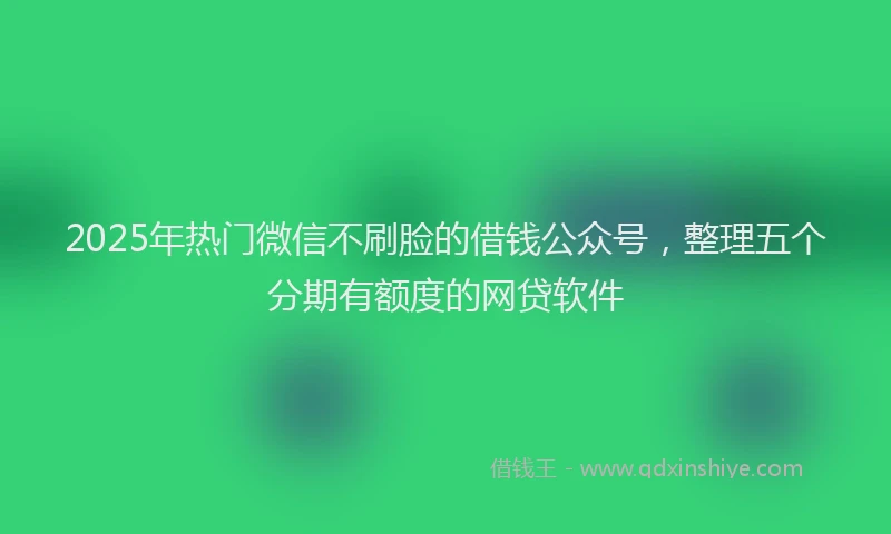 2025年热门微信不刷脸的借钱公众号，整理五个分期有额度的网贷软件