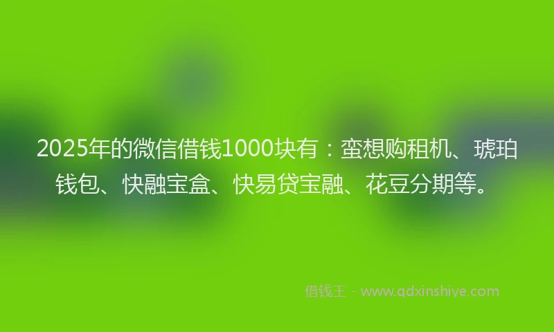 2025年的微信借钱1000块有：蛮想购租机、琥珀钱包、快融宝盒、快易贷宝融、花豆分期等。