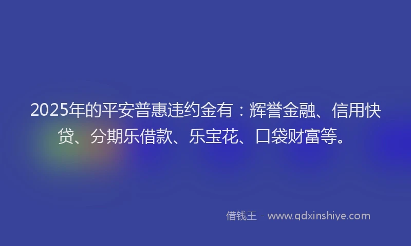 2025年的平安普惠违约金有：辉誉金融、信用快贷、分期乐借款、乐宝花、口袋财富等。