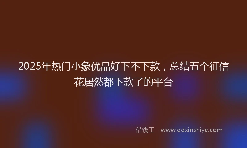 2025年热门小象优品好下不下款，总结五个征信花居然都下款了的平台