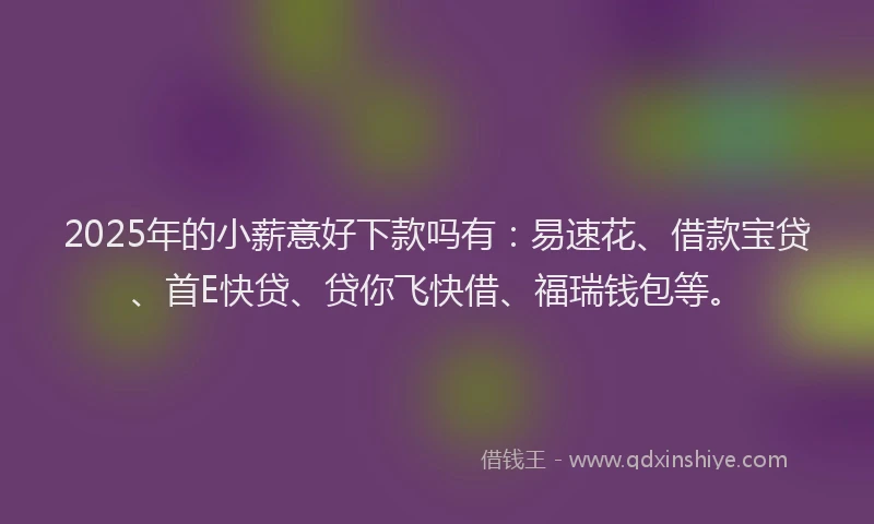 2025年的小薪意好下款吗有：易速花、借款宝贷、首E快贷、贷你飞快借、福瑞钱包等。