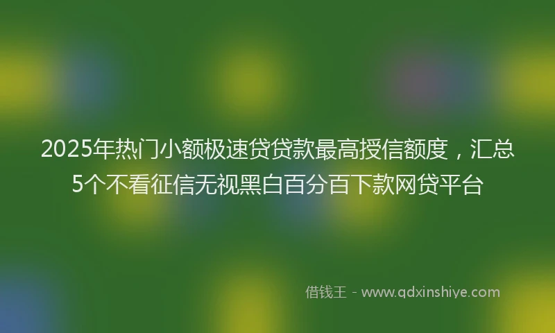 2025年热门小额极速贷贷款最高授信额度，汇总5个不看征信无视黑白百分百下款网贷平台