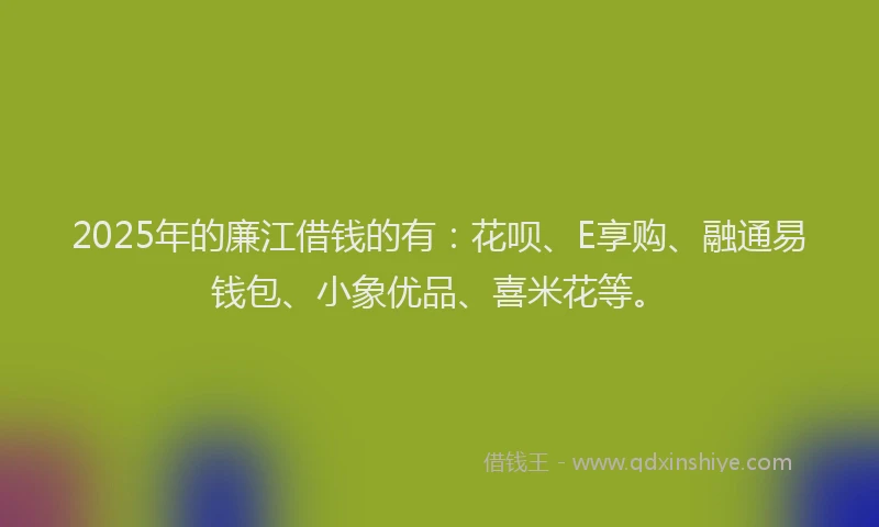 2025年的廉江借钱的有：花呗、E享购、融通易钱包、小象优品、喜米花等。